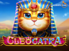 Cat casino. Cso yeni yıl konseri 2023.26